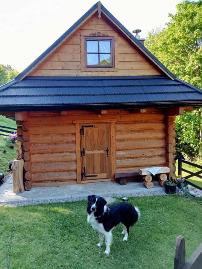 Chalet Lesna Glusza *